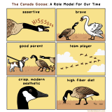 New comic about a good role model. Try to keep pets and wildlife apart if you can! https://t.co/n1oZyKqc60
