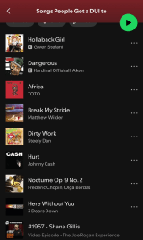 whenever someone tells me they got a DUI i ask them what song they were listening to &amp; i’ve compiled a playlist with everyone’s song so far