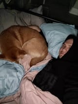 Sometimes you just wanna curl up with your doge and GN 🌙