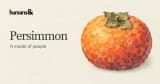 Introducing Persimmon | humans&