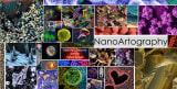 Image of the Month | NanoArtography