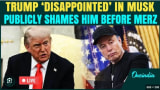 Chartbook 388: Trump v. Musk - Alien v. Predator or "death march" into a political vacuum?