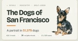 The Dogs of San Francisco | 51,379 licensed dogs