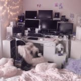 veryinter.net