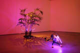 G Gallery