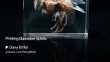 Printing Gaussian Splats | Patreon