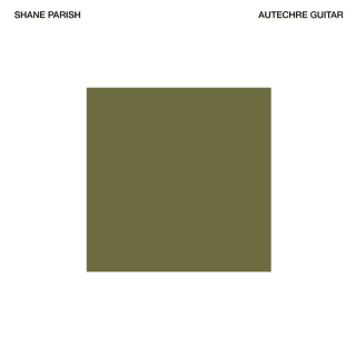 Autechre Guitar, by Shane Parish