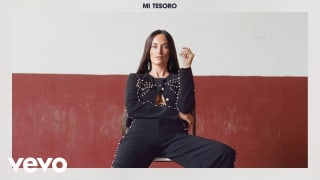 Kacey Musgraves - Mi Tesoro (Official Audio)