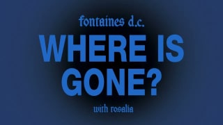 Fontaines D.C. - Where Is Gone? (with Rosalía)