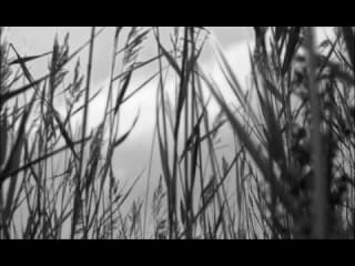 Noize MC — Выдыхай (официальный клип)