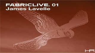FABRICLIVE. 01 - James Lavelle (2001) [Continuous Mix]