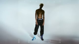 Danny Brown - Stardust (Full Album)