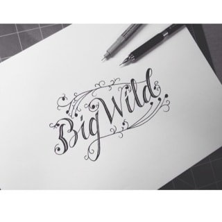 Venice Venture (Big Wild) X "Throw Some D's" By Rich Boy