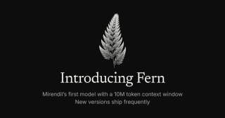 Introducing Fern