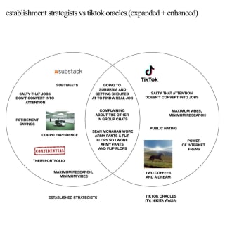 establishment strategists vs tiktok oracles