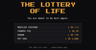 The Lottery of Life