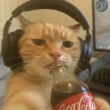 therealozho