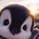 vince