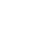 Fast Shipping