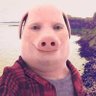 PORKER321x