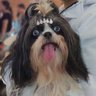 SPayanOspina