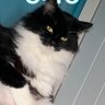 Scottpaton22