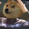 dannydogeburgh