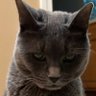 mrittles0x