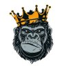 tradingkingkong