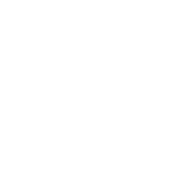 N21 Restaurant - Logo