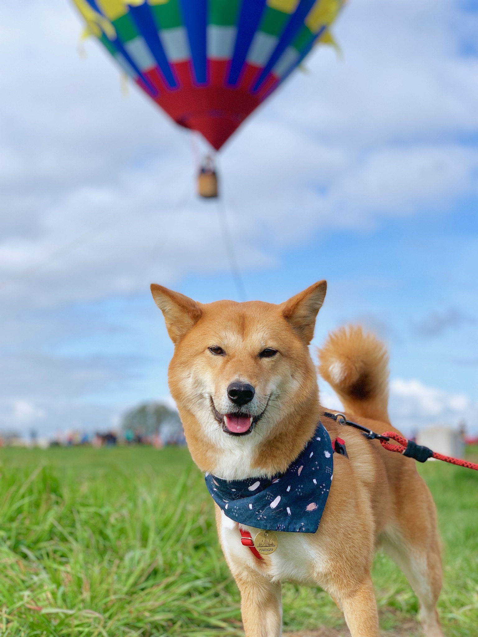 2019 Midyear Check-In