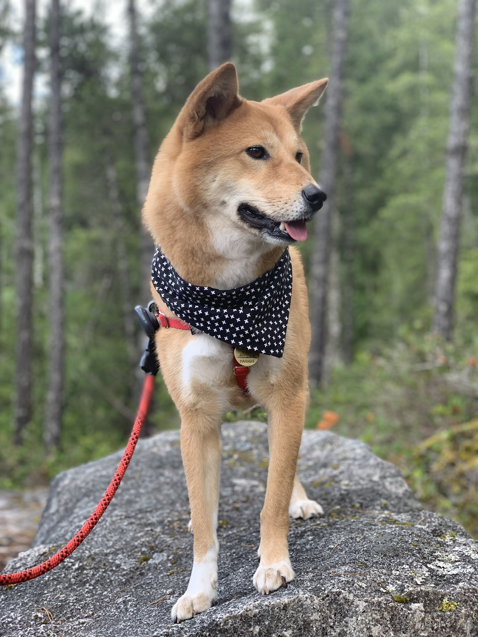 Markus surrounded by the rocks and greenery of the Skookumchuck Narrows hike