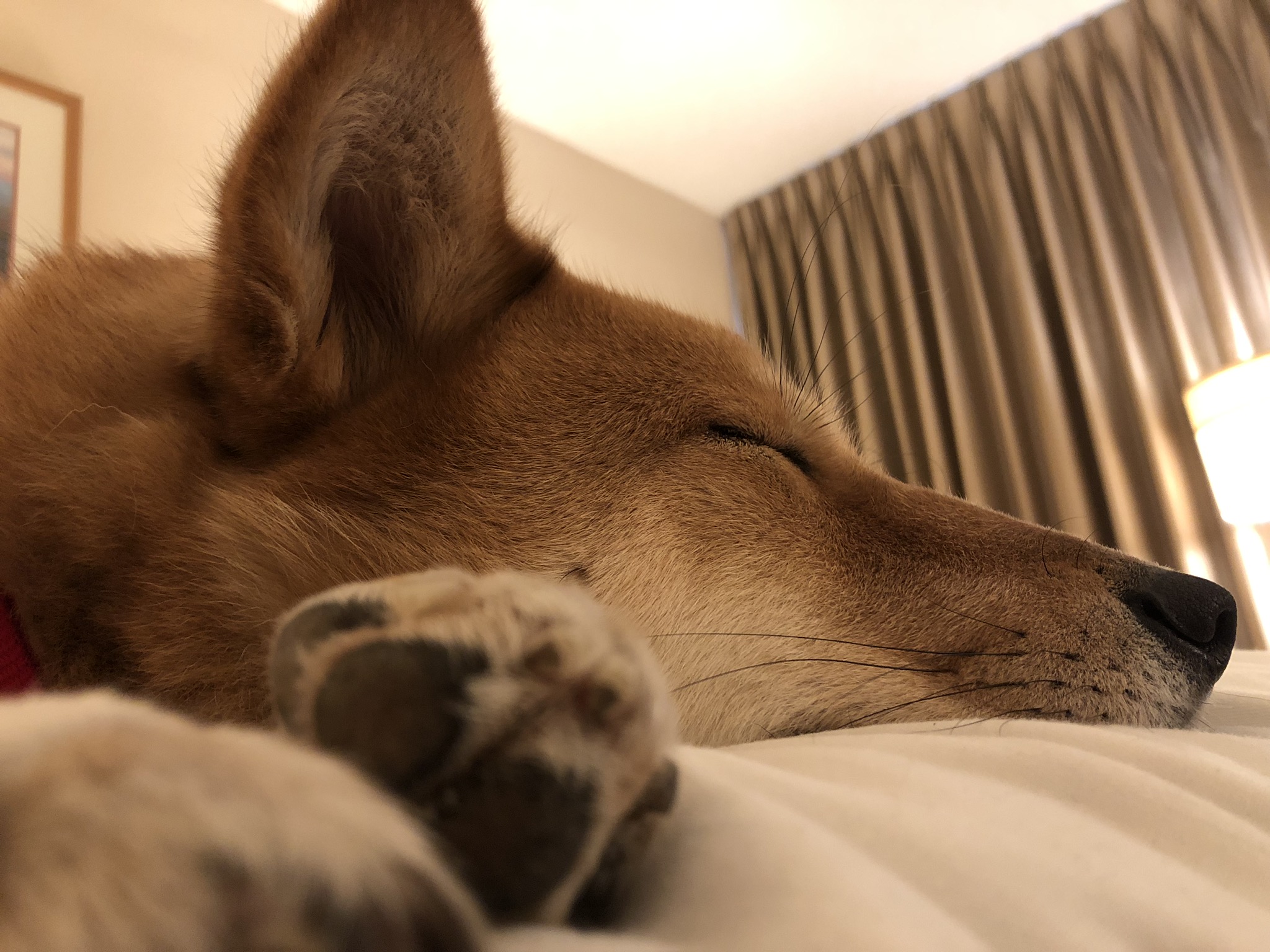 Markus getting some rest after a long day of being on the road