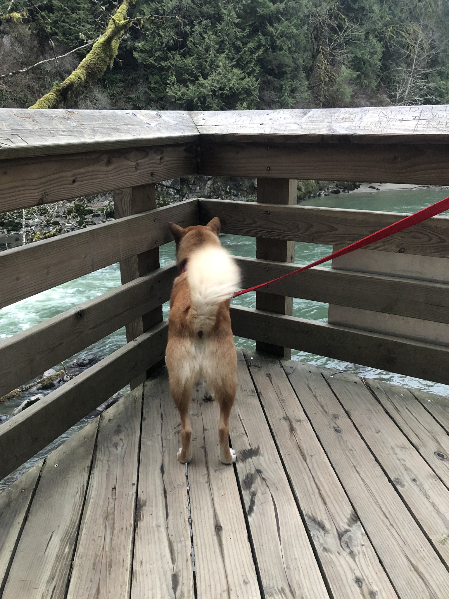 An Impromptu Trip, Markus at the Office & The Horse Brush