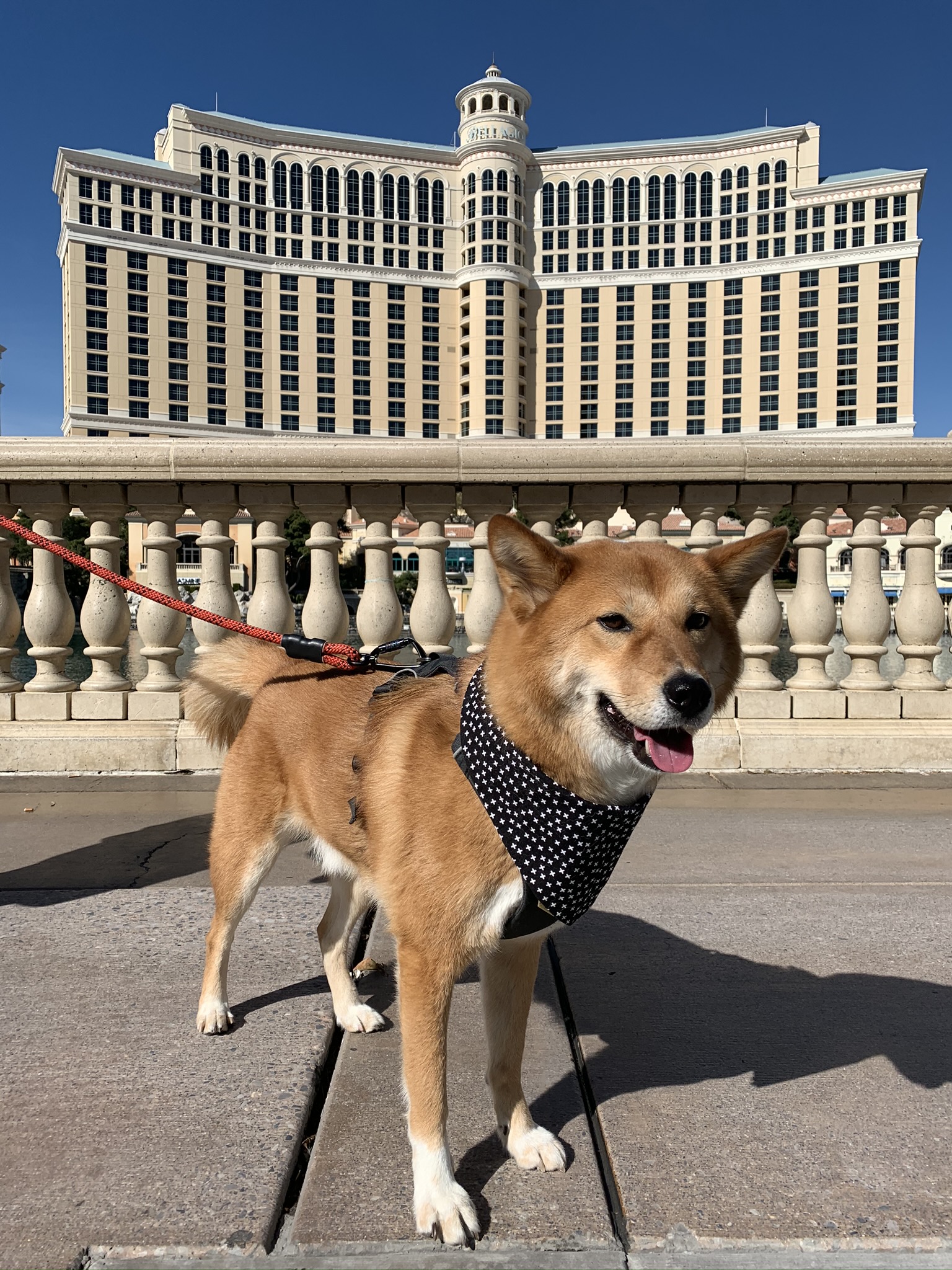 Markus smiling in the early morning in front of the Fountain at the Bellagio in Las Vegas