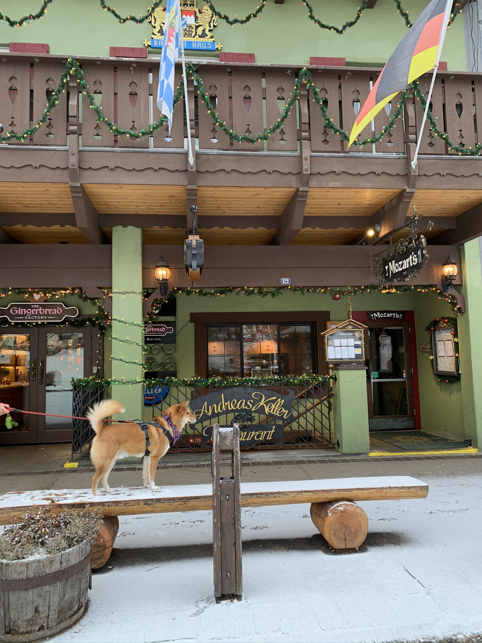 Markus standing in line for Andreas Keller first thing in the morning already