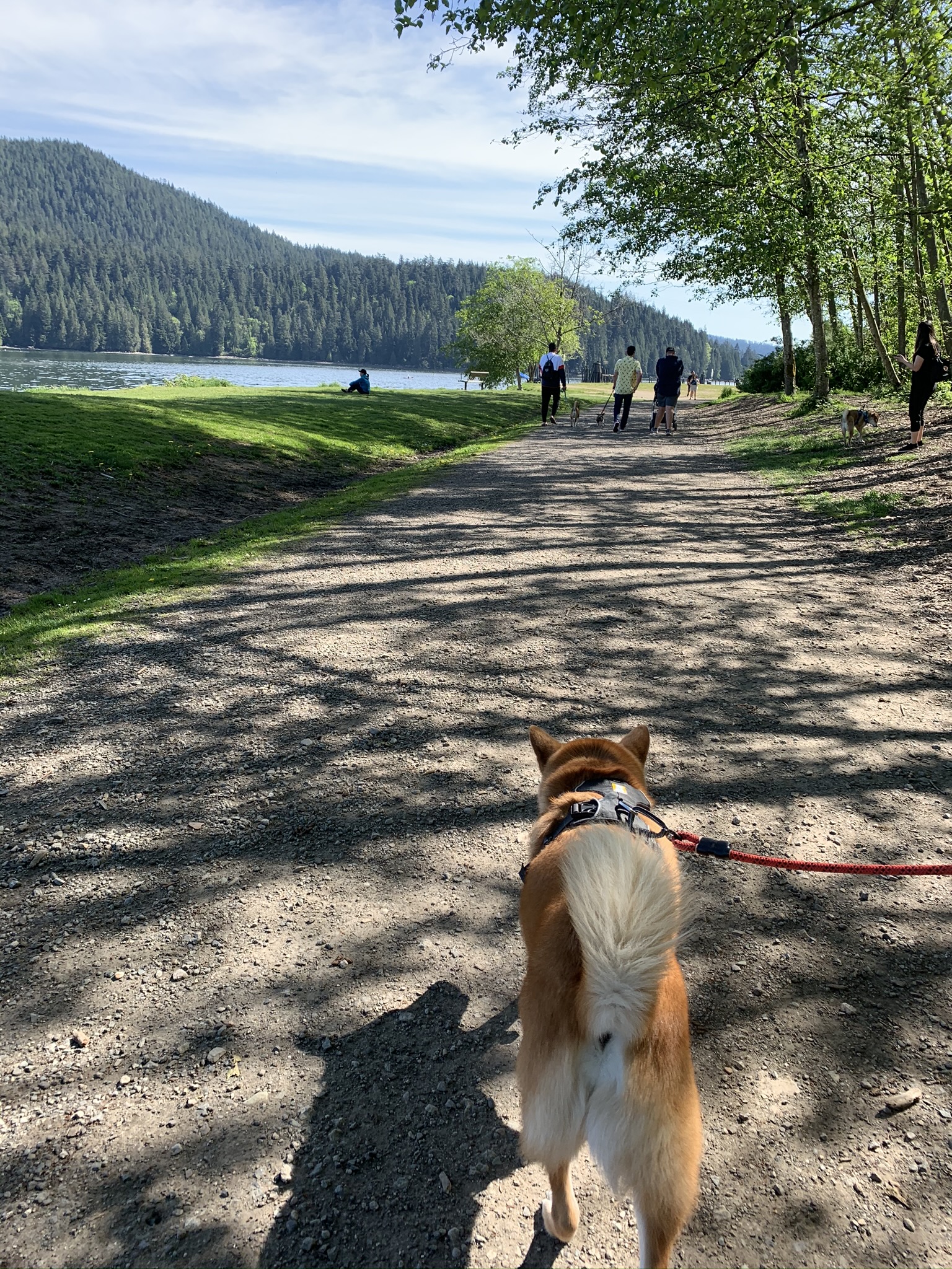 Markus walking on Drummond’s Walk along the water at Barnet Marine Park