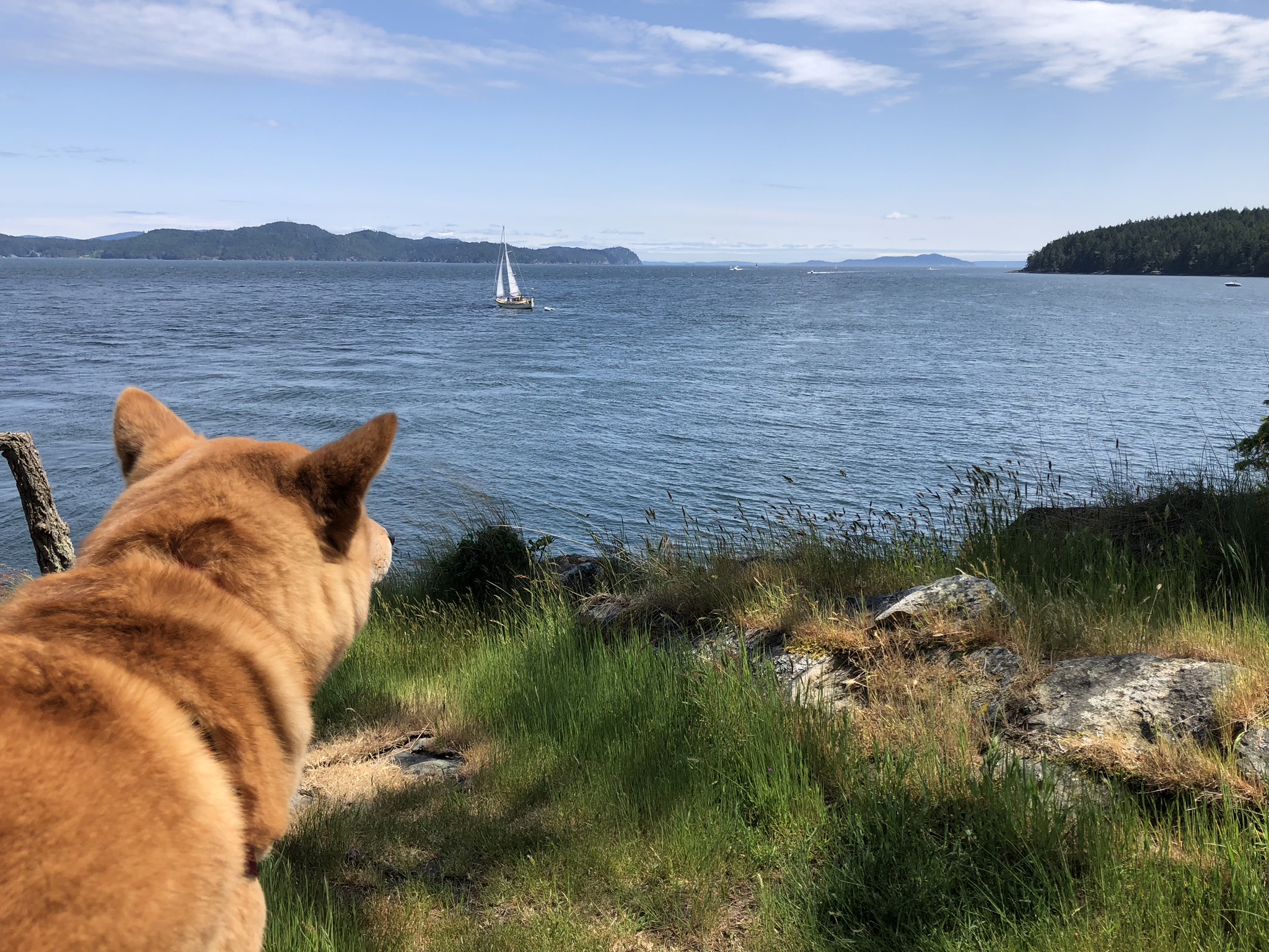 The Nine Month Check-In