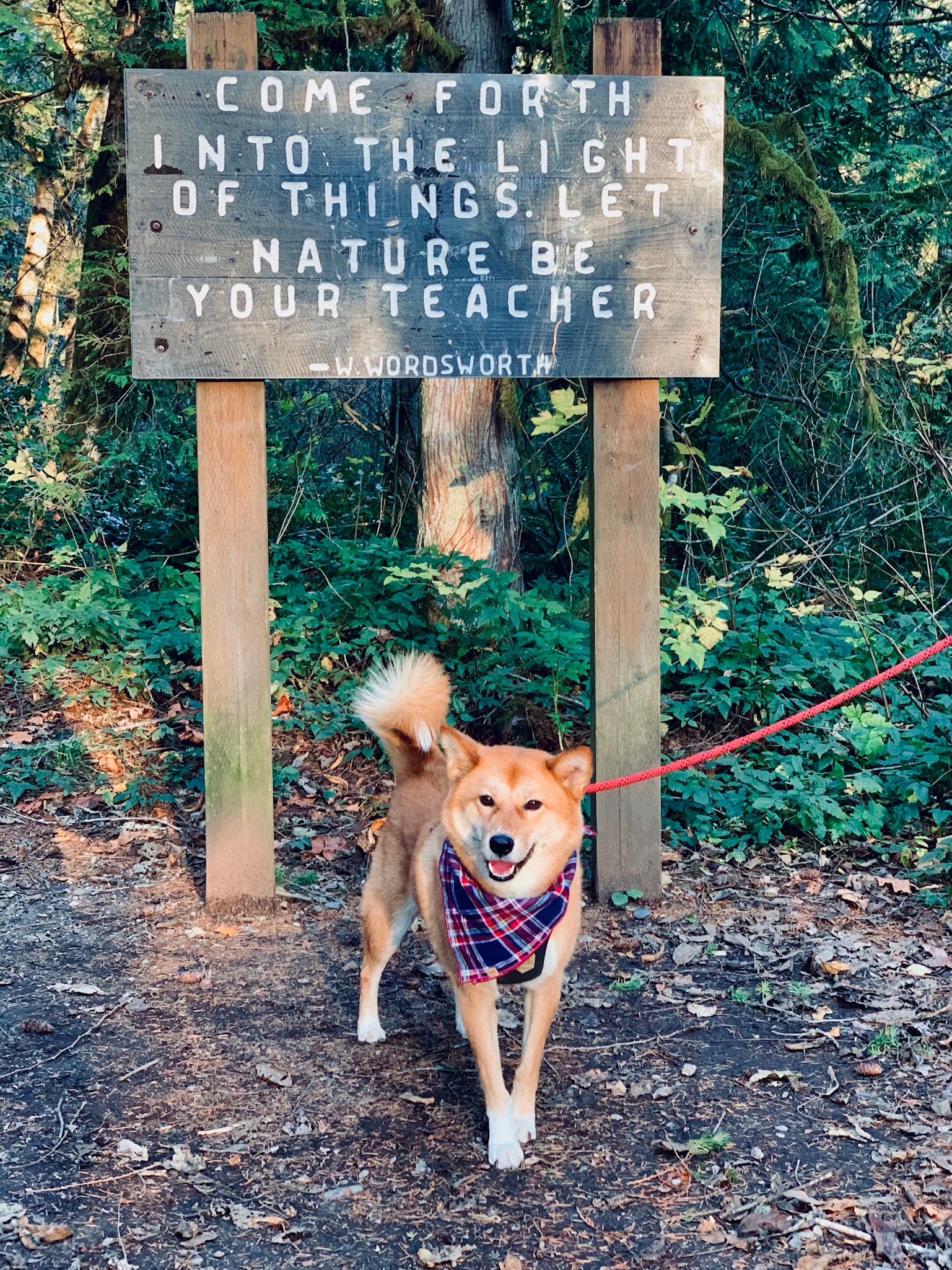 Wallace Falls State Park