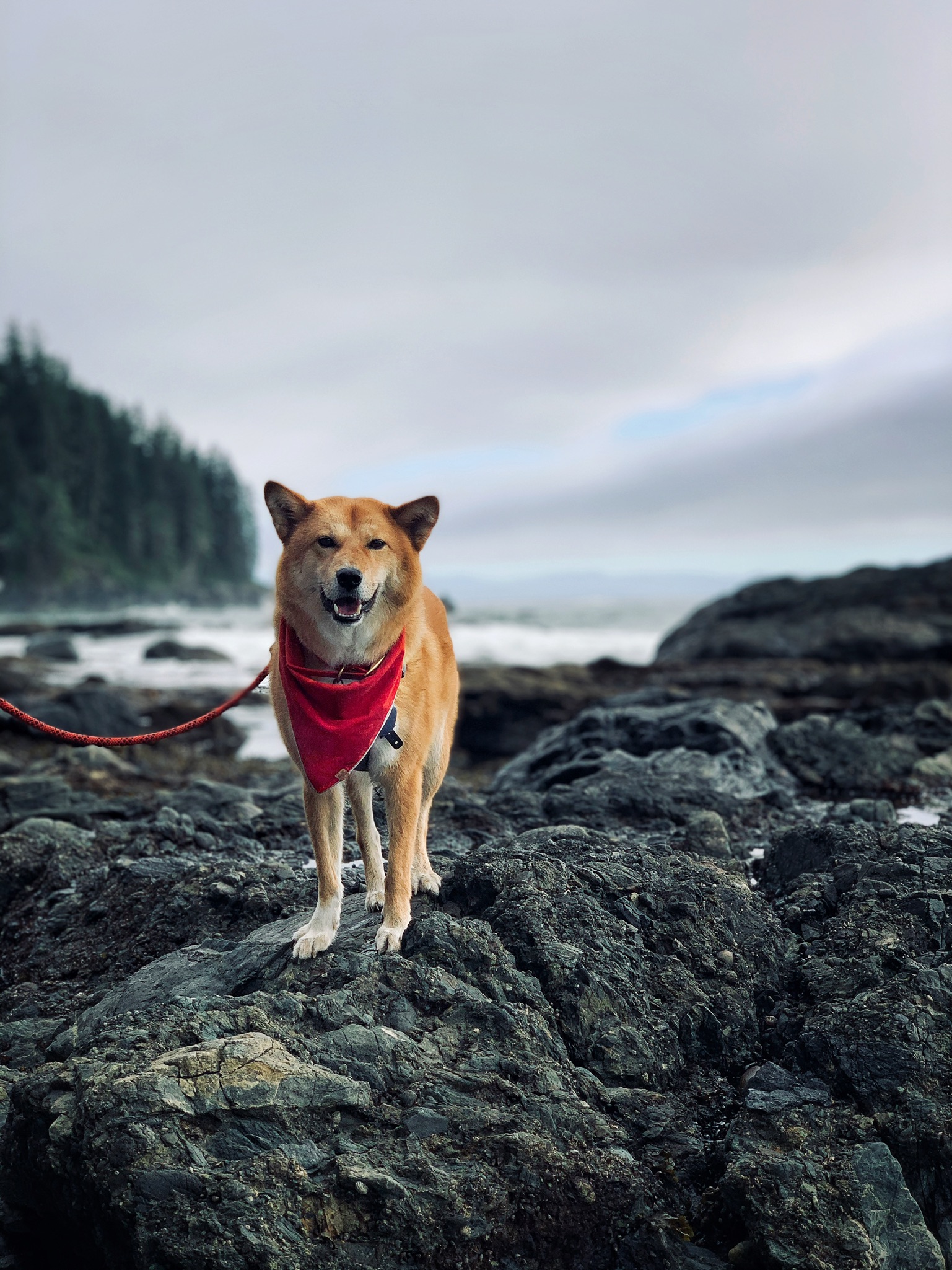 Markus leaping around the rocks along Sombrio Beach