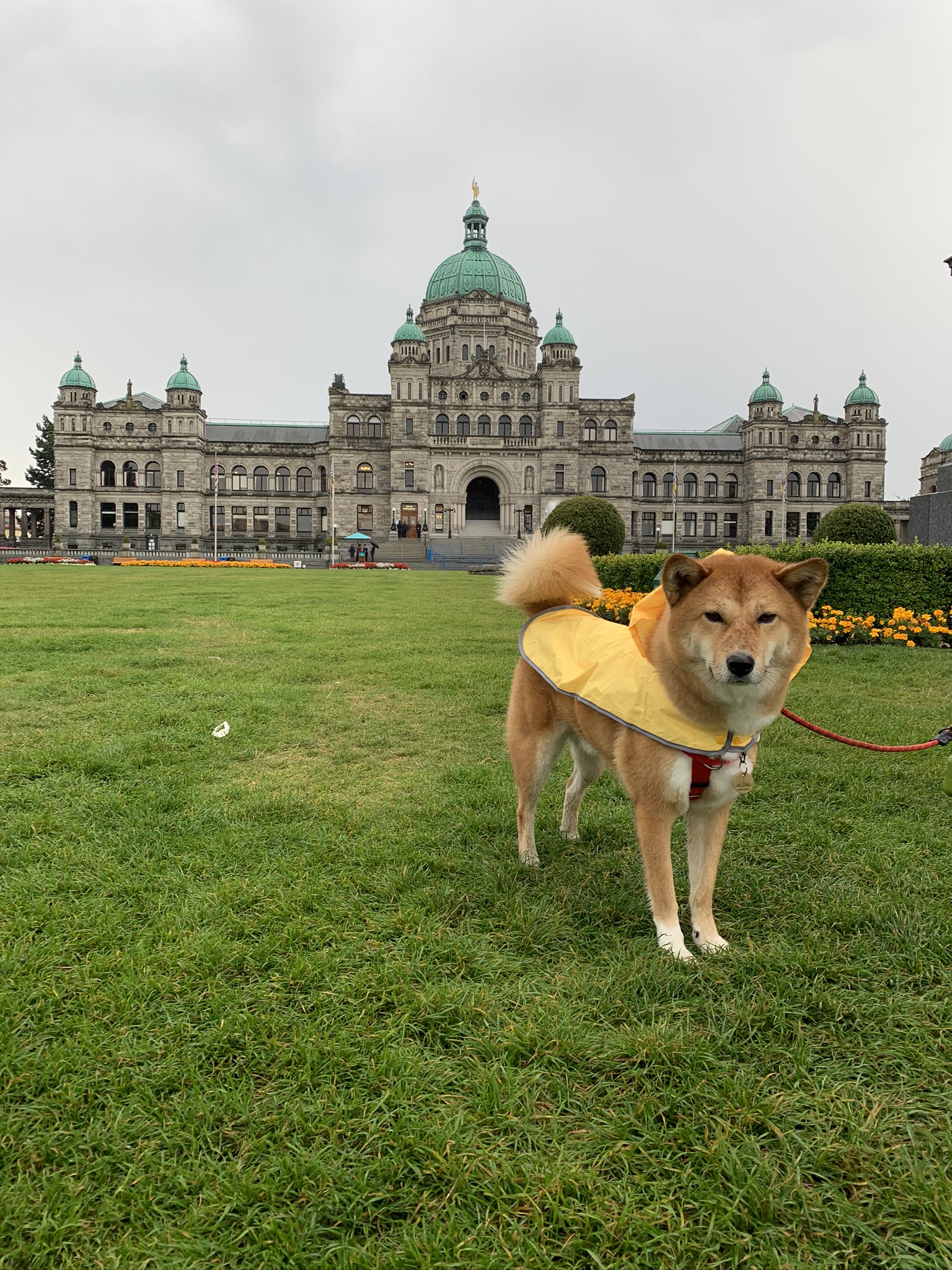 Markus with a classic photo in front of the British Columbia Parliament Buildings in Victoria