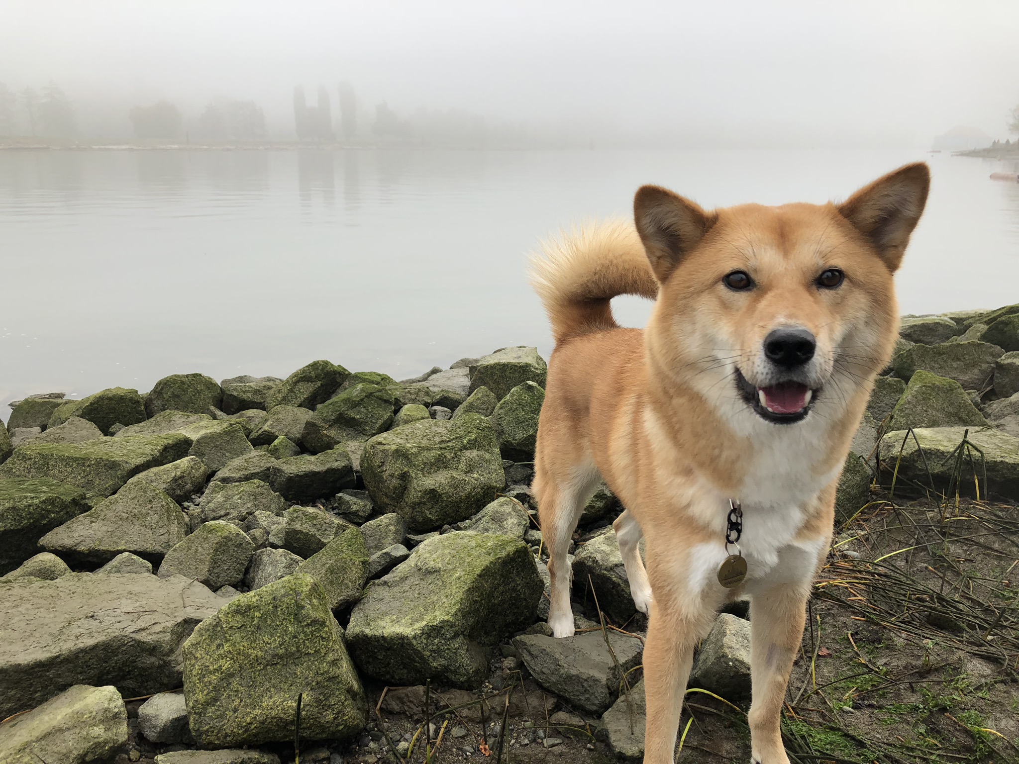 Markus standing on rocks with the fog over Fraser River at McDonald Beach Park