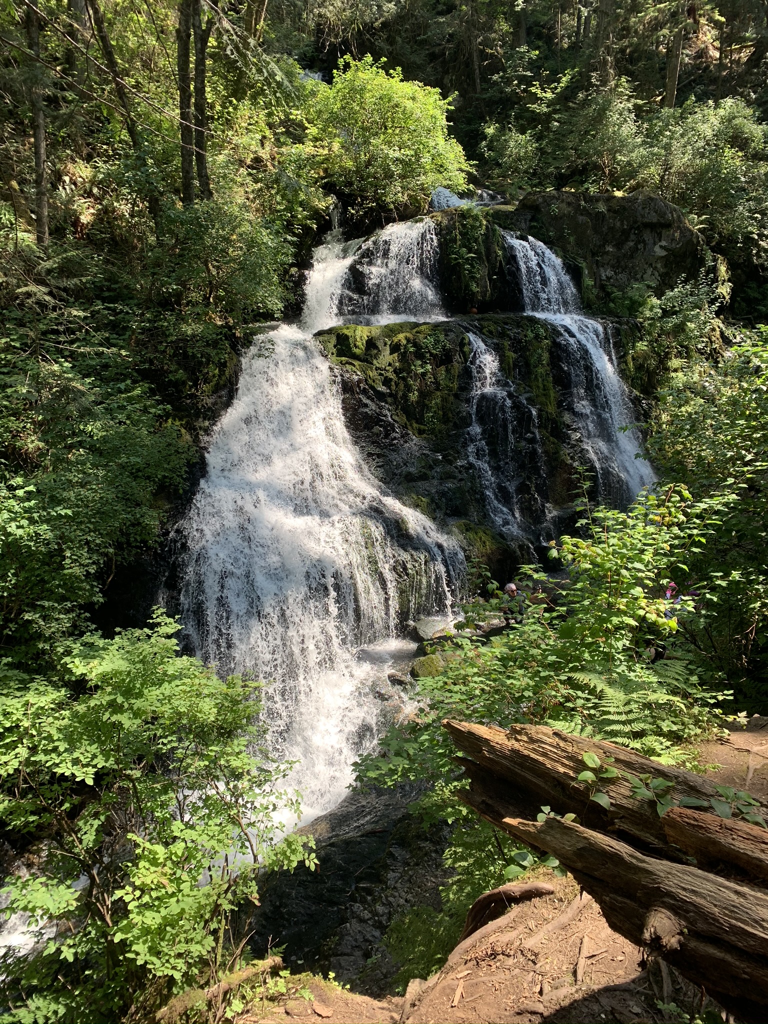 Can you spot the ball in Steelhead Falls?