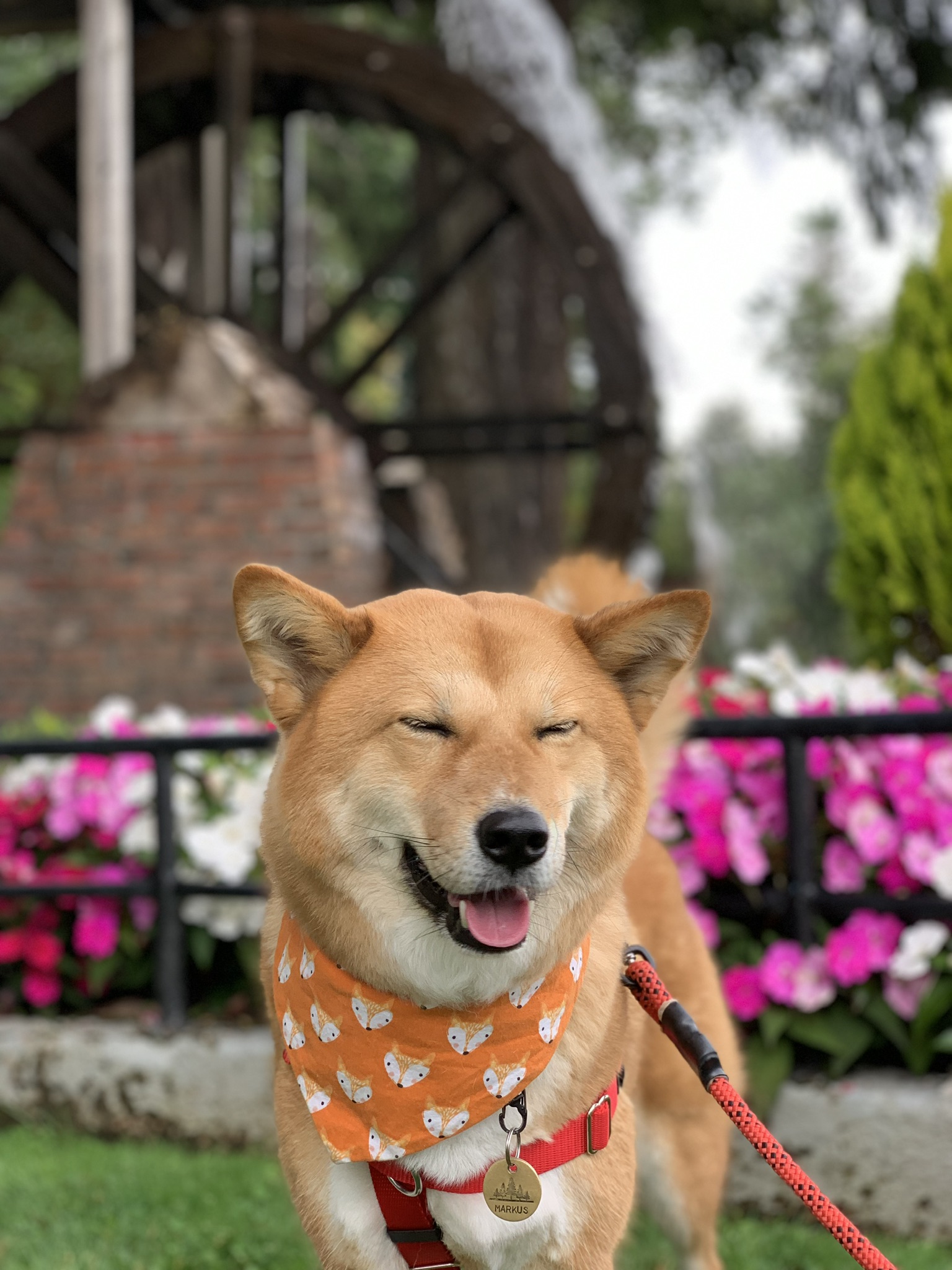 Markus smiling with  The  🦊  Bandana  from Pine & Bone