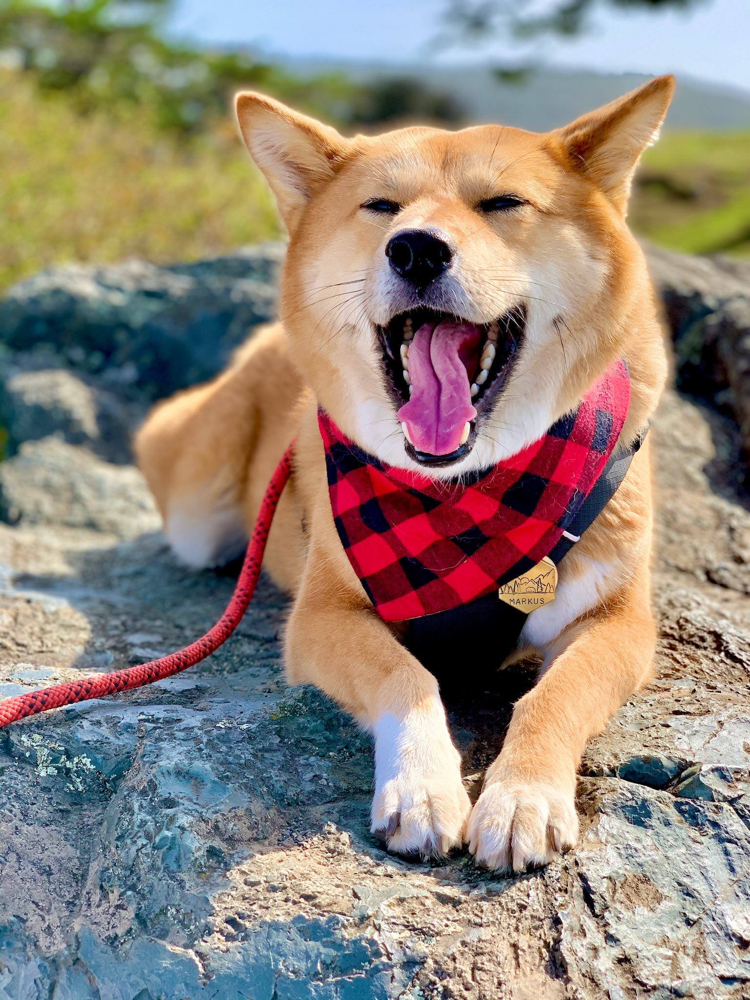 Markus taking a break from the easy hike on Rosario Head Trail in Washington