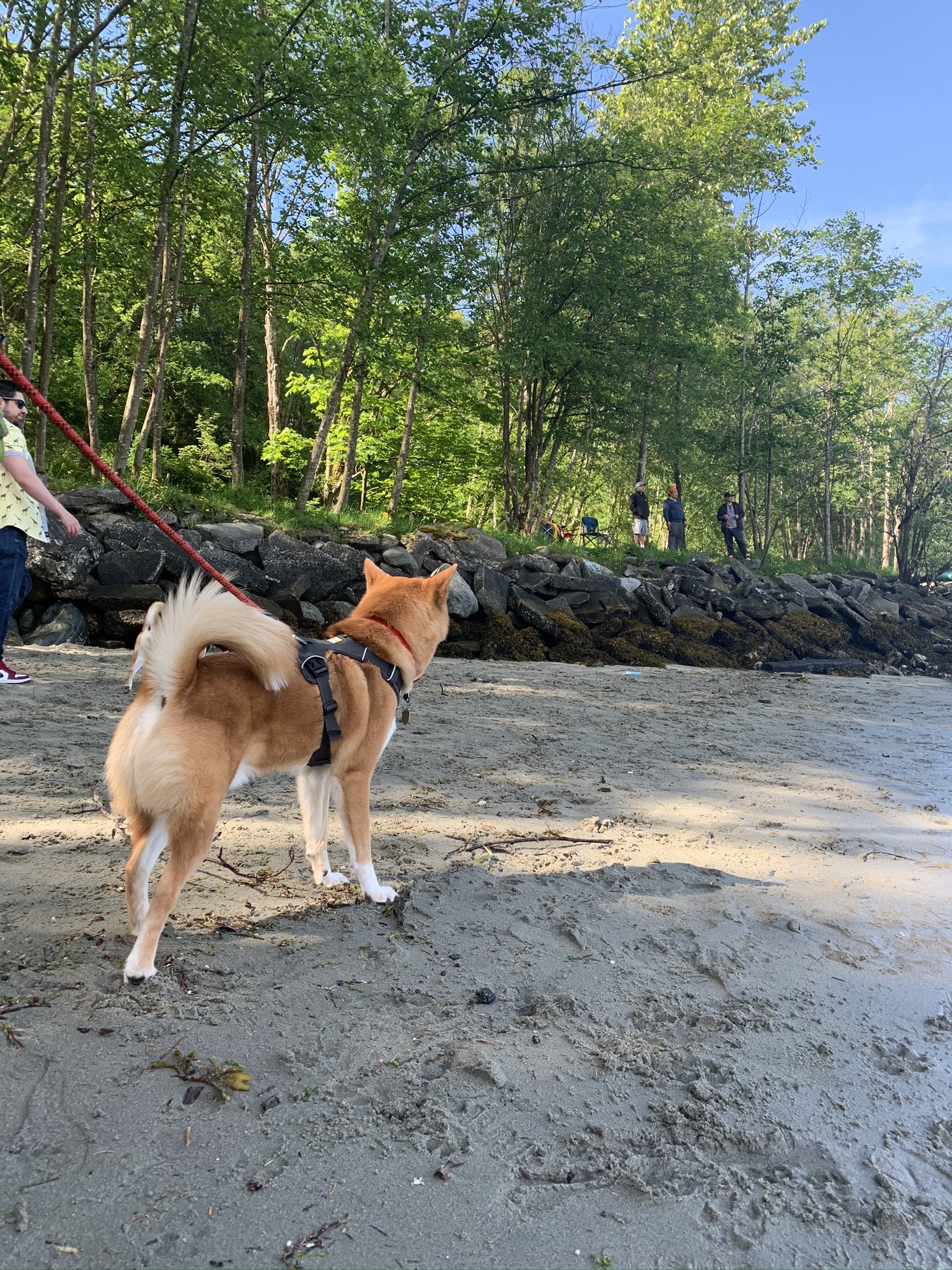 Markus playing on the beach area where the wall naturally create an enclosure at Barnet Marine Park