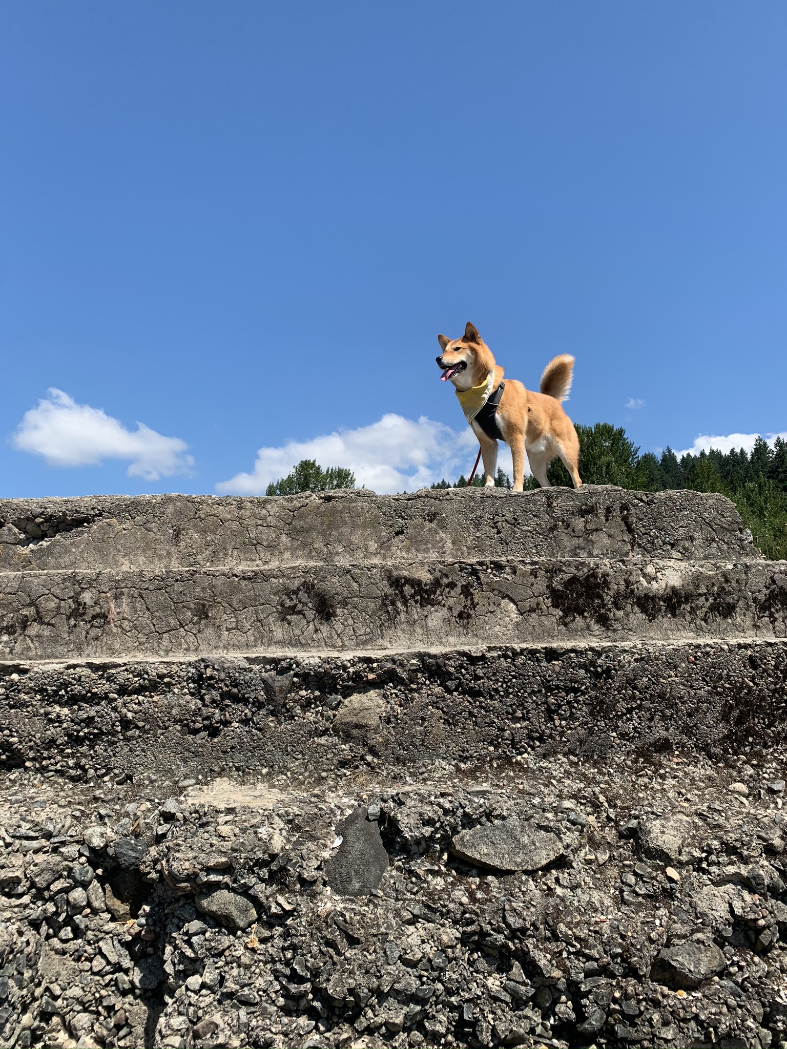 Markus standing at the top of the remains at the Old Mill Site Park by the Shoreline Trail