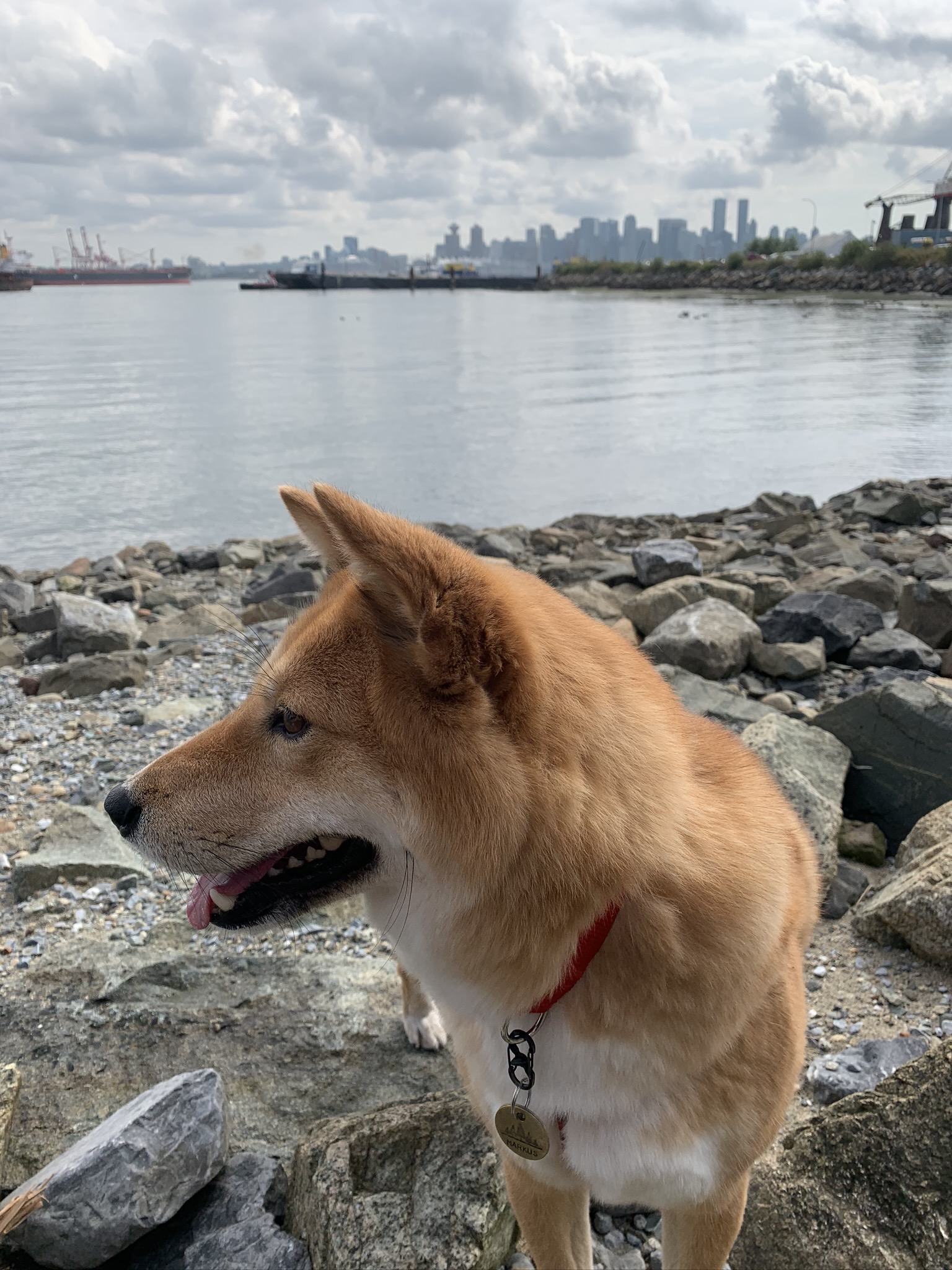 Kings Mill Walk Park Off-Leash Area