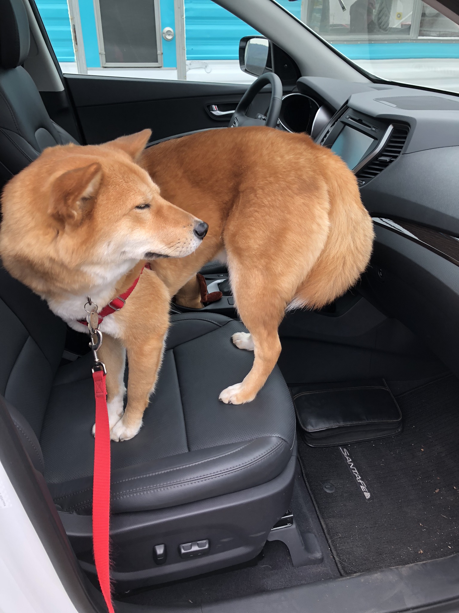 Markus is not fully convinced that the new car is actually better for him