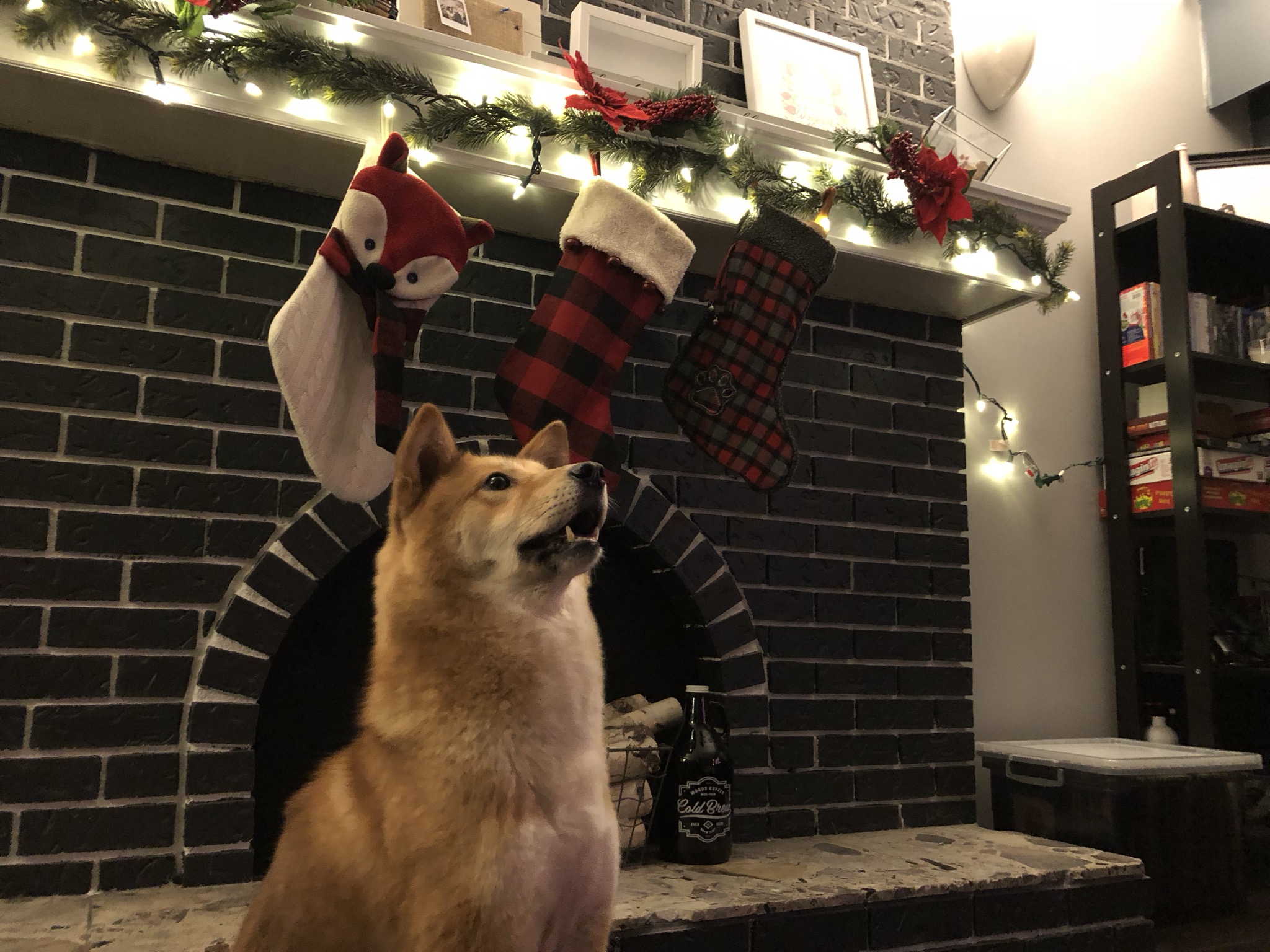 Markus posing with the Christmas stockings including his (right) with the pizzle sticking out